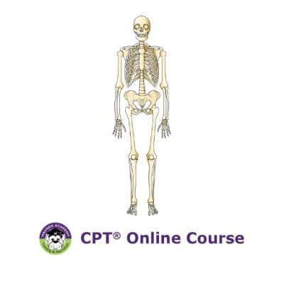 Procedure Coding for Orthopedic Surgery