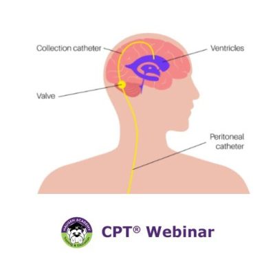 Nuances in Outpatient Neurosurgical Coding
