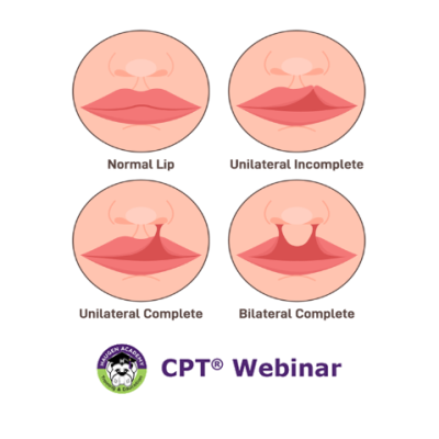 Navigating Cleft Lip and Palate Repairs with Ease