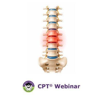 Spinal Decompression Procedure Coding: Taking the Pressure Off