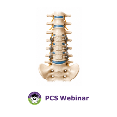 ICD-10-PCS Coding for Spinal Fusions: Straight to the Point