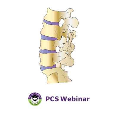 ICD-10-PCS Coding for Spinal Fusions: Straight to the Point