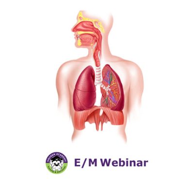 Pulmonology Critical Care Coding: A Patient’s Journey