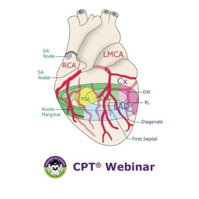 PCI Coding in 2026: Heart Work Reimagined