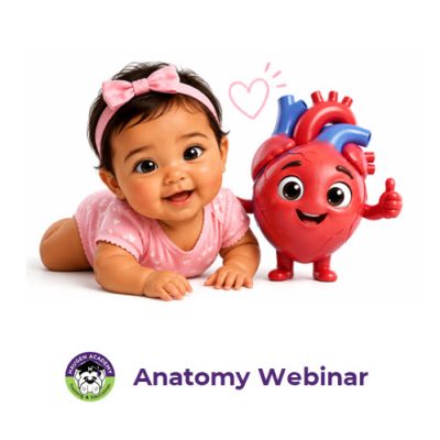 Foundations of Congenital Cardiac Cath Coding: Tiny Heart, Big Procedures